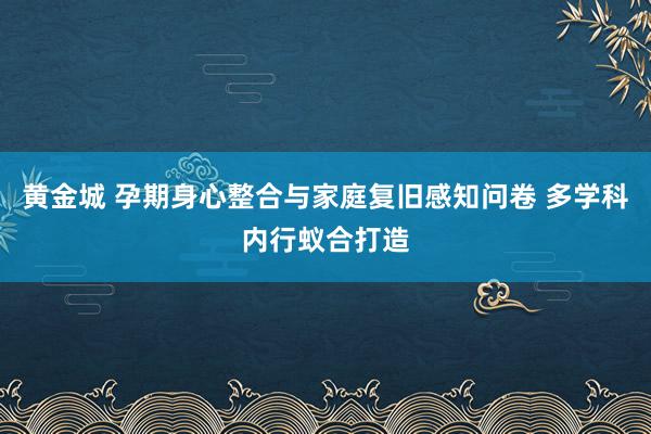 黄金城 孕期身心整合与家庭复旧感知问卷 多学科内行蚁合打造