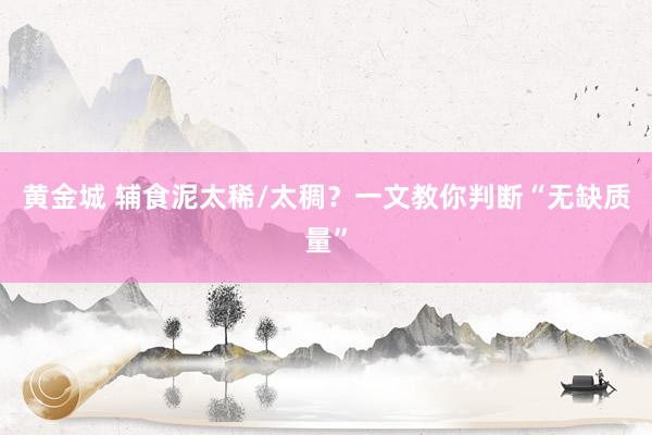 黄金城 辅食泥太稀/太稠？一文教你判断“无缺质量”