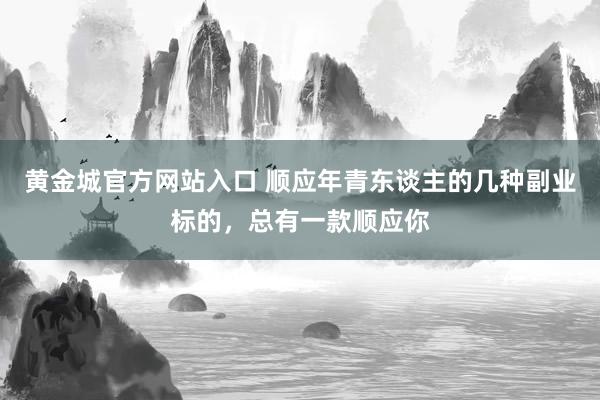 黄金城官方网站入口 顺应年青东谈主的几种副业标的，总有一款顺应你