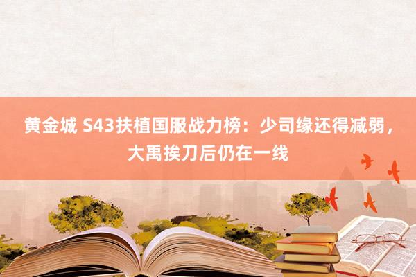 黄金城 S43扶植国服战力榜：少司缘还得减弱，大禹挨刀后仍在一线