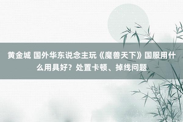 黄金城 国外华东说念主玩《魔兽天下》国服用什么用具好？处置卡顿、掉线问题