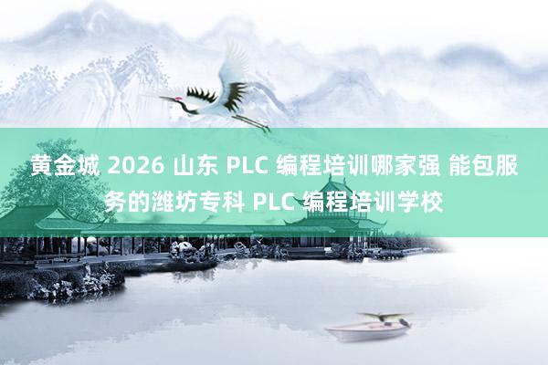黄金城 2026 山东 PLC 编程培训哪家强 能包服务的潍坊专科 PLC 编程培训学校