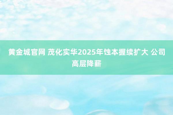 黄金城官网 茂化实华2025年蚀本握续扩大 公司高层降薪