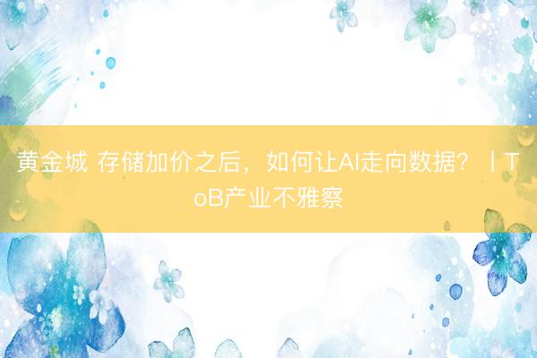 黄金城 存储加价之后，如何让AI走向数据？丨ToB产业不雅察