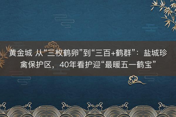 黄金城 从“三枚鹤卵”到“三百+鹤群”：盐城珍禽保护区，<a href=